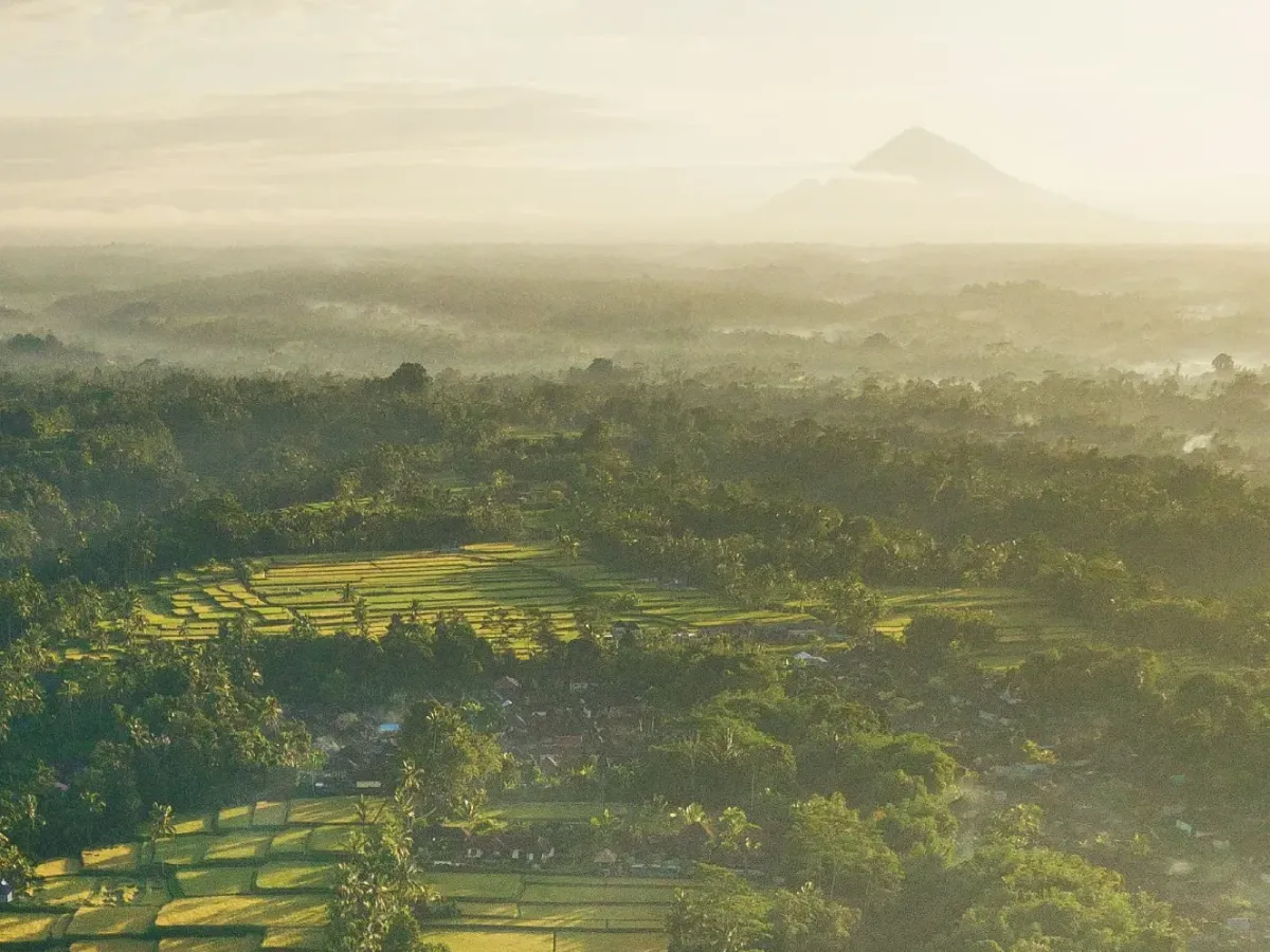 indonesia_agricultural43